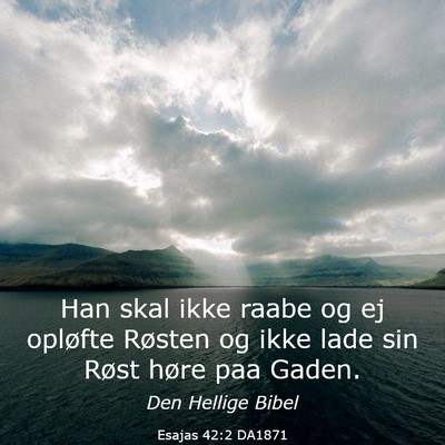 Picture 03 - Esajas 42:2 DA1871 - Han skal ikke raabe og ej opløfte Røsten og - Bible Verse Picture