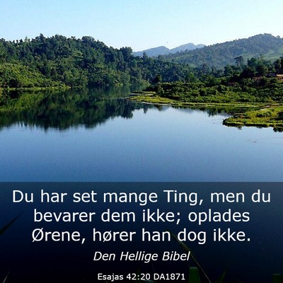 Picture 03 - Esajas 42:20 DA1871 - Du har set mange Ting, men du bevarer dem ikke; - Bible Verse Picture