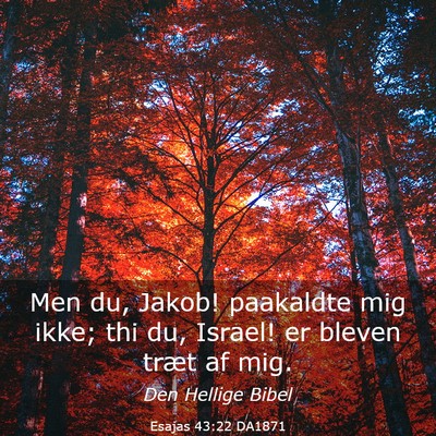 Picture 03 - Esajas 43:22 DA1871 - Men du, Jakob! paakaldte mig ikke; thi du, - Bible Verse Picture