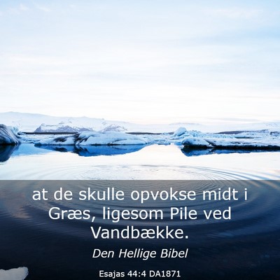 Picture 03 - Esajas 44:4 DA1871 - at de skulle opvokse midt i Græs, ligesom Pile - Bible Verse Picture