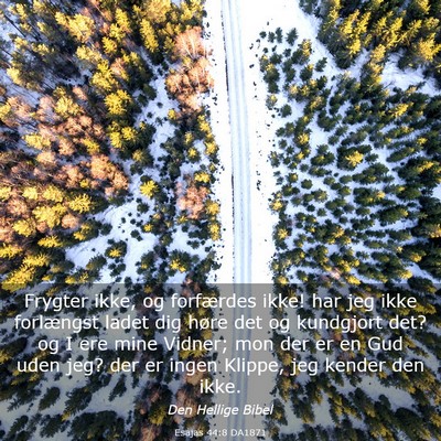 Picture 03 - Esajas 44:8 DA1871 - Frygter ikke, og forfærdes ikke! har jeg ikke - Bible Verse Picture