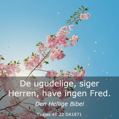 Picture 03 - Esajas 48:22 DA1871 - De ugudelige, siger Herren, have ingen - Bible Verse Picture