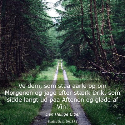 Picture 03 - Esajas 5:11 DA1871 - Ve dem, som staa aarle op om Morgenen og jage - Bible Verse Picture