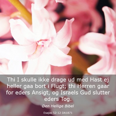 Picture 03 - Esajas 52:12 DA1871 - Thi I skulle ikke drage ud med Hast ej heller gaa - Bible Verse Picture