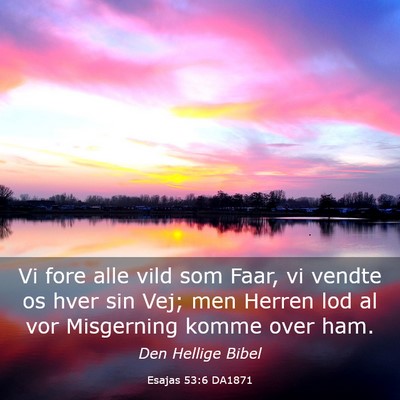 Picture 03 - Esajas 53:6 DA1871 - Vi fore alle vild som Faar, vi vendte os hver sin - Bible Verse Picture