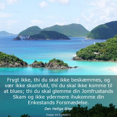 Picture 03 - Esajas 54:4 DA1871 - Frygt ikke, thi du skal ikke beskæmmes, og vær - Bible Verse Picture