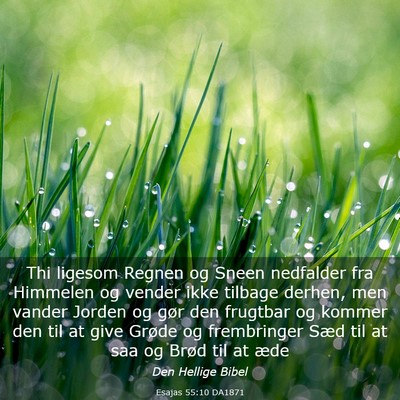Picture 03 - Esajas 55:10 DA1871 - Thi ligesom Regnen og Sneen nedfalder fra - Bible Verse Picture