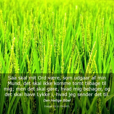 Picture 03 - Esajas 55:11 DA1871 - Saa skal mit Ord være, som udgaar af min Mund, - Bible Verse Picture