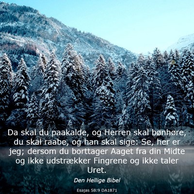 Picture 03 - Esajas 58:9 DA1871 - Da skal du paakalde, og Herren skal bønhøre, du - Bible Verse Picture
