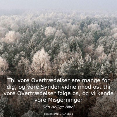 Picture 03 - Esajas 59:12 DA1871 - Thi vore Overtrædelser ere mange for dig, og - Bible Verse Picture