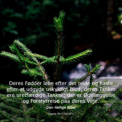 Picture 03 - Esajas 59:7 DA1871 - Deres Fødder løbe efter det onde og haste efter - Bible Verse Picture