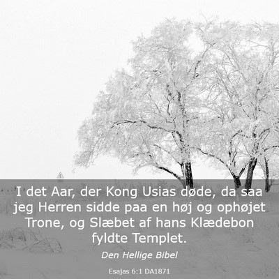 Picture 03 - Esajas 6:1 DA1871 - I det Aar, der Kong Usias døde, da saa jeg - Bible Verse Picture