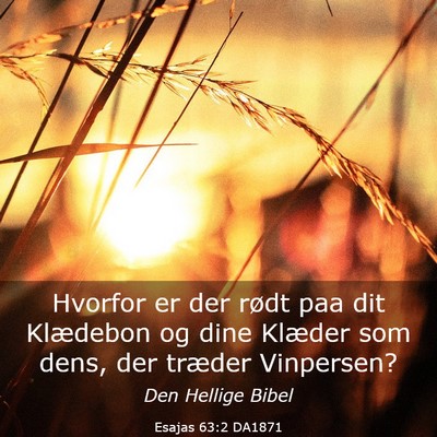Picture 03 - Esajas 63:2 DA1871 - Hvorfor er der rødt paa dit Klædebon og dine - Bible Verse Picture