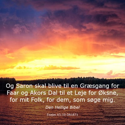 Picture 03 - Esajas 65:10 DA1871 - Og Saron skal blive til en Græsgang for Faar og - Bible Verse Picture