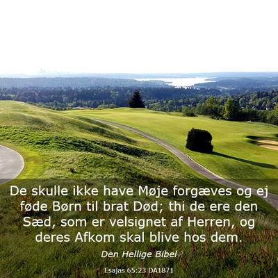 Picture 03 - Esajas 65:23 DA1871 - De skulle ikke have Møje forgæves og ej føde - Bible Verse Picture