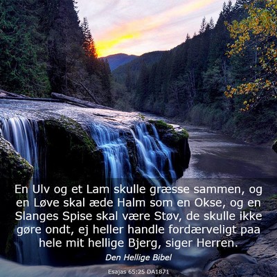 Picture 03 - Esajas 65:25 DA1871 - En Ulv og et Lam skulle græsse sammen, og en - Bible Verse Picture