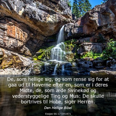 Picture 03 - Esajas 66:17 DA1871 - De, som hellige sig, og som rense sig for at gaa - Bible Verse Picture