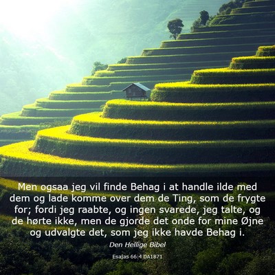 Picture 03 - Esajas 66:4 DA1871 - Men ogsaa jeg vil finde Behag i at handle ilde - Bible Verse Picture