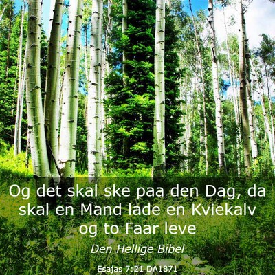 Picture 03 - Esajas 7:21 DA1871 - Og det skal ske paa den Dag, da skal en Mand lade - Bible Verse Picture