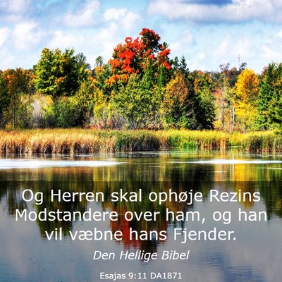 Picture 03 - Esajas 9:11 DA1871 - Og Herren skal ophøje Rezins Modstandere over - Bible Verse Picture