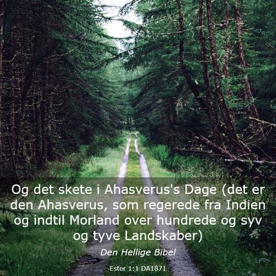Picture 03 - Ester 1:1 DA1871 - Og det skete i Ahasverus's Dage (det er den - Bible Verse Picture