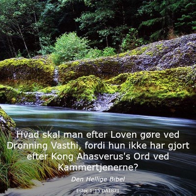 Picture 03 - Ester 1:15 DA1871 - Hvad skal man efter Loven gøre ved Dronning - Bible Verse Picture