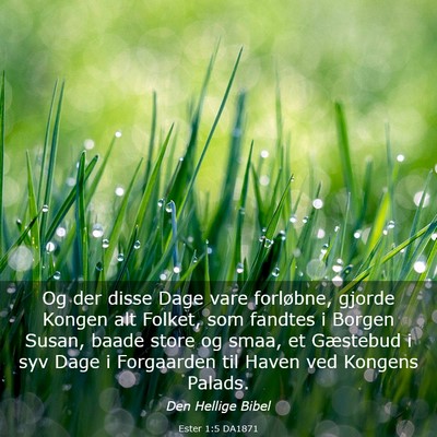 Picture 03 - Ester 1:5 DA1871 - Og der disse Dage vare forløbne, gjorde Kongen - Bible Verse Picture