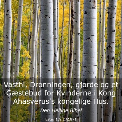 Picture 03 - Ester 1:9 DA1871 - Vasthi, Dronningen, gjorde og et Gæstebud for - Bible Verse Picture