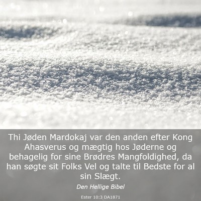 Picture 03 - Ester 10:3 DA1871 - Thi Jøden Mardokaj var den anden efter Kong - Bible Verse Picture