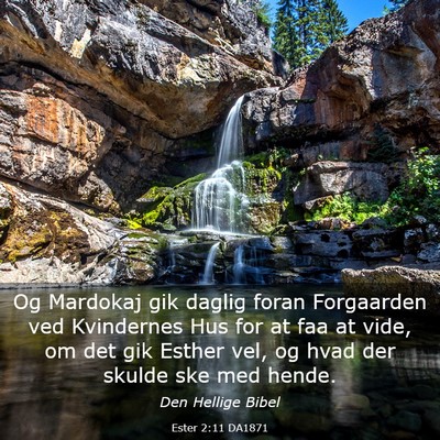 Picture 03 - Ester 2:11 DA1871 - Og Mardokaj gik daglig foran Forgaarden ved - Bible Verse Picture