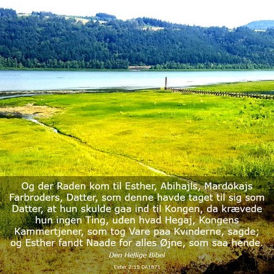Picture 03 - Ester 2:15 DA1871 - Og der Raden kom til Esther, Abihajls, Mardokajs - Bible Verse Picture