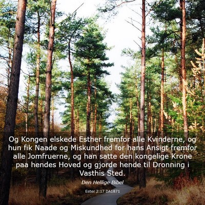 Picture 03 - Ester 2:17 DA1871 - Og Kongen elskede Esther fremfor alle Kvinderne, - Bible Verse Picture