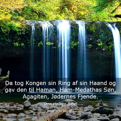 Picture 03 - Ester 3:10 DA1871 - Da tog Kongen sin Ring af sin Haand og gav den - Bible Verse Picture