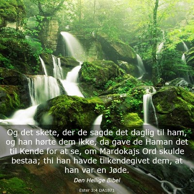 Picture 03 - Ester 3:4 DA1871 - Og det skete, der de sagde det daglig til ham, og - Bible Verse Picture