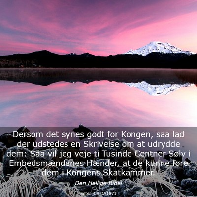 Picture 03 - Ester 3:9 DA1871 - Dersom det synes godt for Kongen, saa lad der - Bible Verse Picture