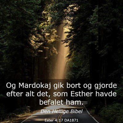 Picture 03 - Ester 4:17 DA1871 - Og Mardokaj gik bort og gjorde efter alt det, som - Bible Verse Picture