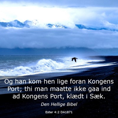 Picture 03 - Ester 4:2 DA1871 - Og han kom hen lige foran Kongens Port; thi man - Bible Verse Picture