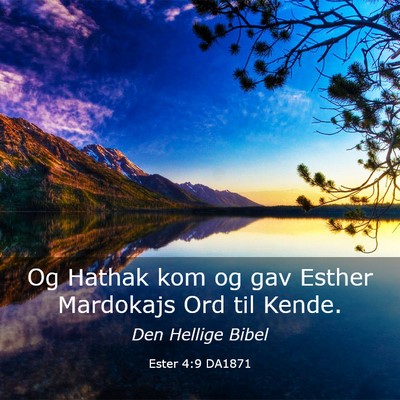 Picture 03 - Ester 4:9 DA1871 - Og Hathak kom og gav Esther Mardokajs Ord til - Bible Verse Picture