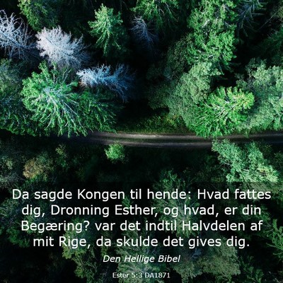 Picture 03 - Ester 5:3 DA1871 - Da sagde Kongen til hende: Hvad fattes dig, - Bible Verse Picture