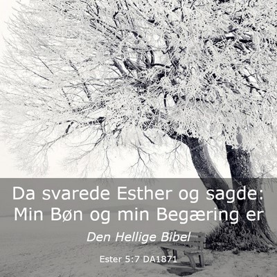 Picture 03 - Ester 5:7 DA1871 - Da svarede Esther og sagde: Min Bøn og min - Bible Verse Picture