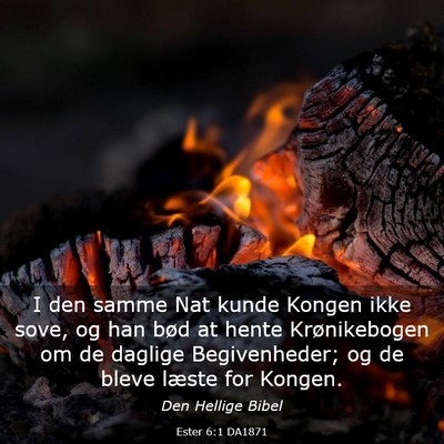 Picture 03 - Ester 6:1 DA1871 - I den samme Nat kunde Kongen ikke sove, og han - Bible Verse Picture