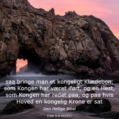Picture 03 - Ester 6:8 DA1871 - saa bringe man et kongeligt Klædebon, som Kongen - Bible Verse Picture