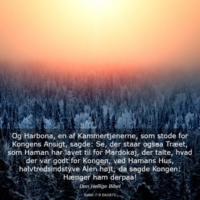 Picture 03 - Ester 7:9 DA1871 - Og Harbona, en af Kammertjenerne, som stode for - Bible Verse Picture