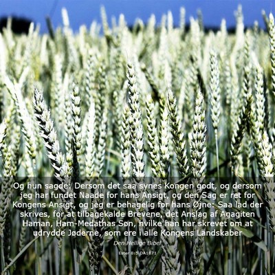 Picture 03 - Ester 8:5 DA1871 - Og hun sagde: Dersom det saa synes Kongen godt, - Bible Verse Picture