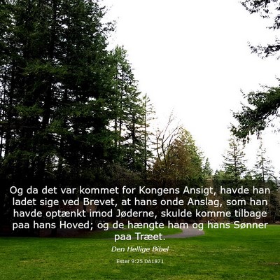 Picture 03 - Ester 9:25 DA1871 - Og da det var kommet for Kongens Ansigt, havde - Bible Verse Picture
