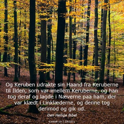 Picture 03 - Ezekiel 10:7 DA1871 - Og Keruben udrakte sin Haand fra Keruberne til - Bible Verse Picture