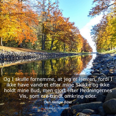 Picture 03 - Ezekiel 11:12 DA1871 - Og I skulle fornemme, at jeg er Herren, fordi I - Bible Verse Picture
