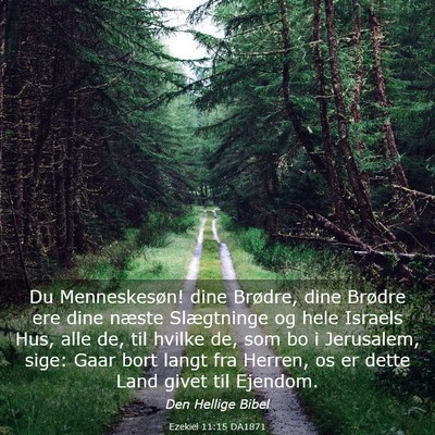 Picture 03 - Ezekiel 11:15 DA1871 - Du Menneskesøn! dine Brødre, dine Brødre ere - Bible Verse Picture