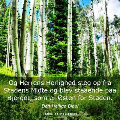 Picture 03 - Ezekiel 11:23 DA1871 - Og Herrens Herlighed steg op fra Stadens Midte og - Bible Verse Picture