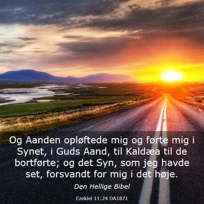 Picture 03 - Ezekiel 11:24 DA1871 - Og Aanden opløftede mig og førte mig i Synet, i - Bible Verse Picture